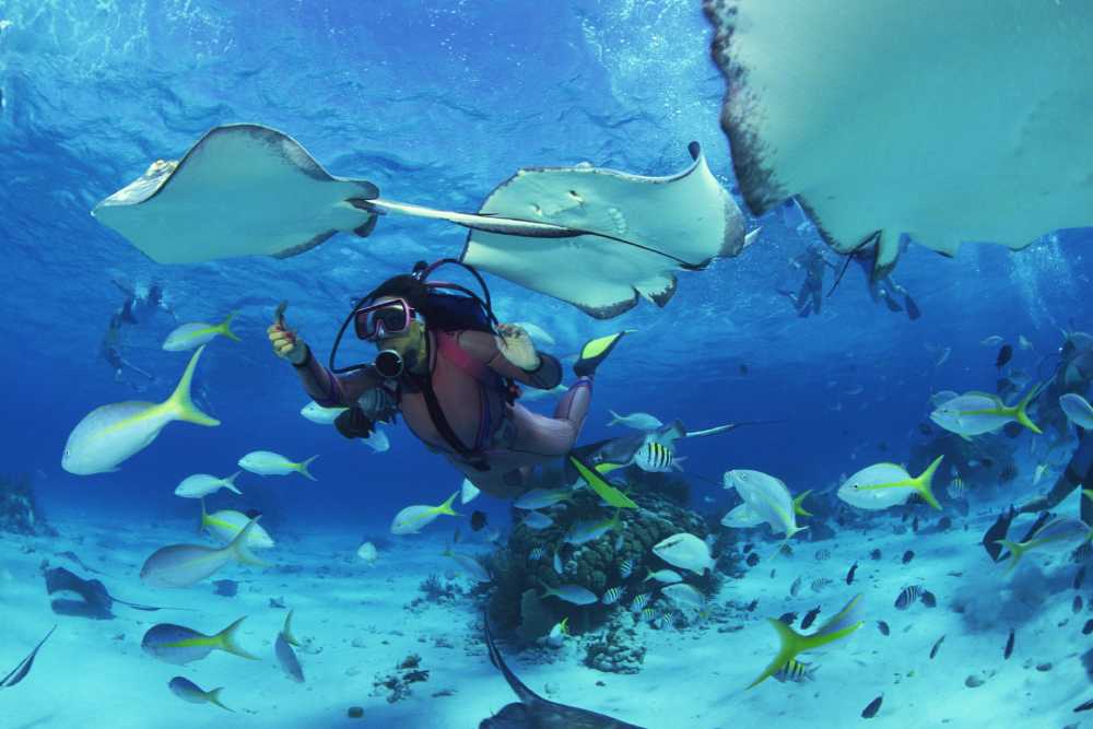 How to Plan the Perfect Scuba Diving Vacation