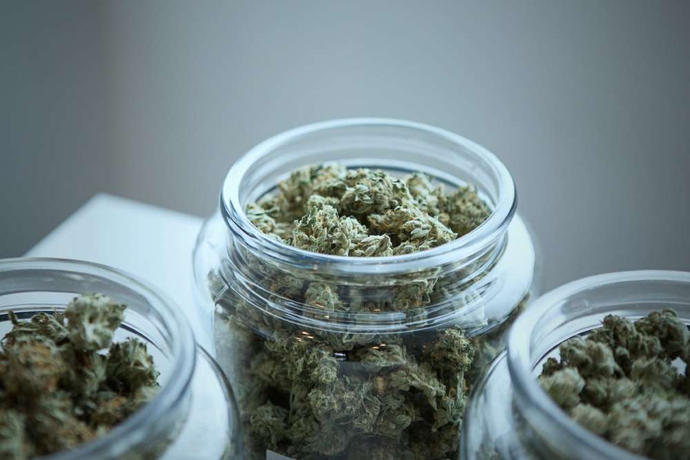 How to Safely Store and Transport Cannabis With the Right Dispensary Container