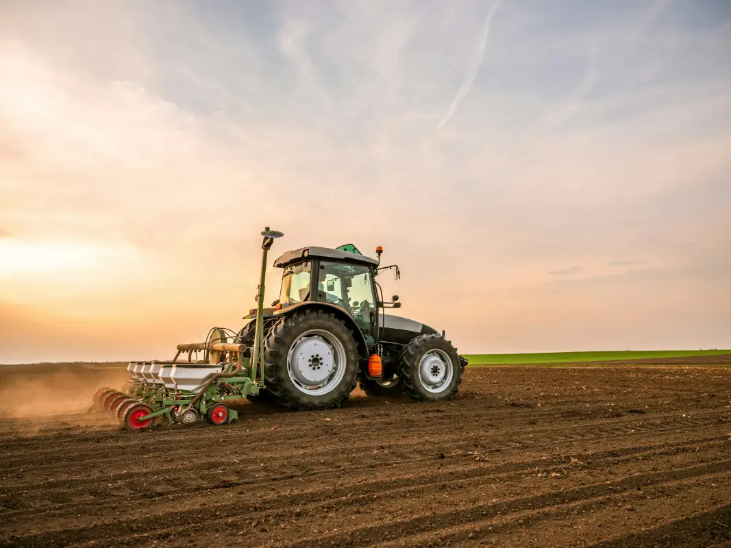 Vegetation Management Services