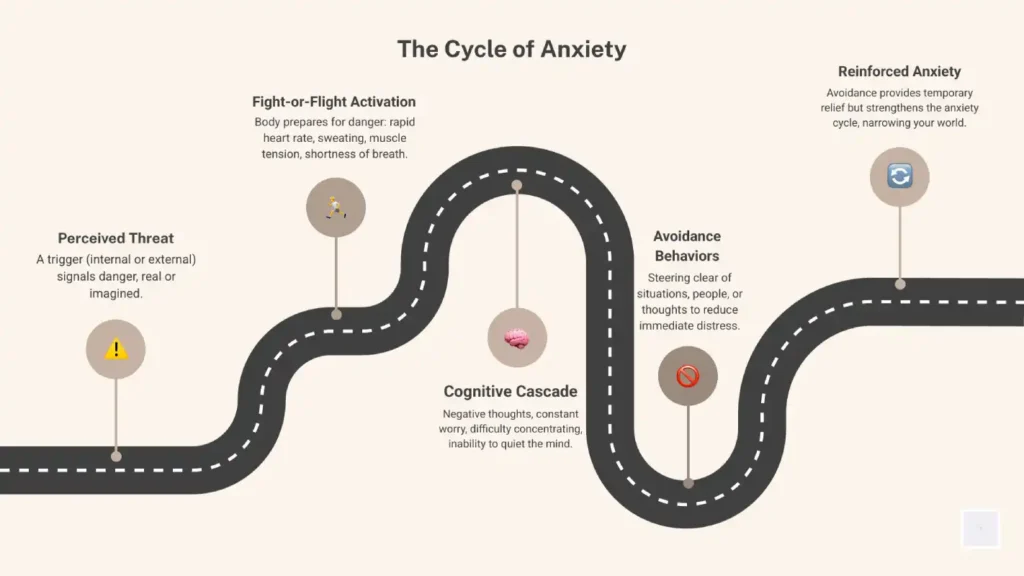 cycle of anxiety